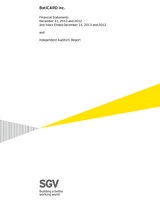 Financial Statement 2013