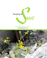 2013 Annual Report