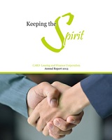 2013 Annual Report