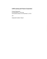 2013 Audited Financial Statement