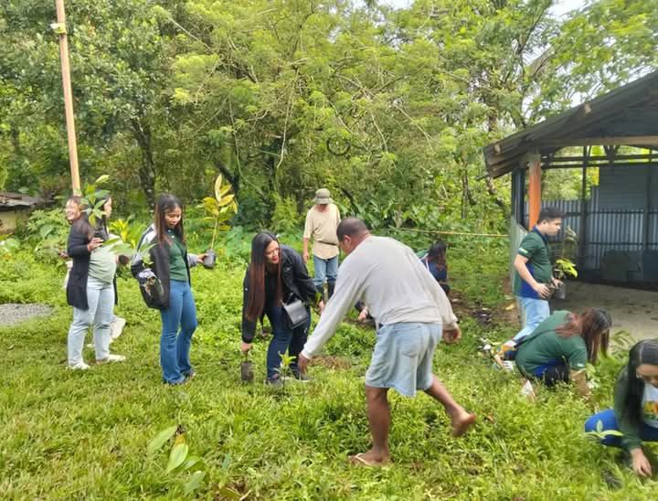 CARD RBI plants 200 trees in Laguna for environmental sustainability
